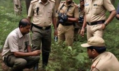 ऑपरेशन “वाइल्ड ट्रैप’’ में वन अपराधों में 429 आरोपी गिरफ्तार