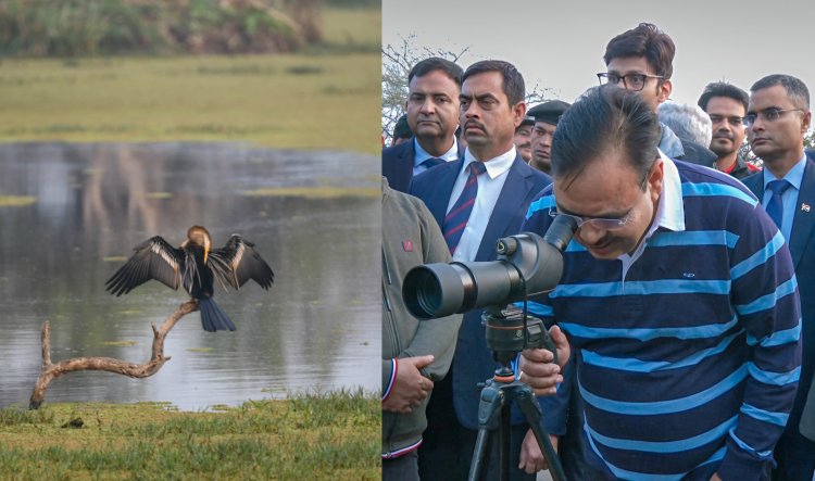 सीएम भजनलाल ने केवलादेव राष्ट्रीय उद्यान में किया भ्रमण, अधिकारियों को पर्यटकों के लिए सभी सुविधाएं सुनिश्चित करने के दिए निर्देश