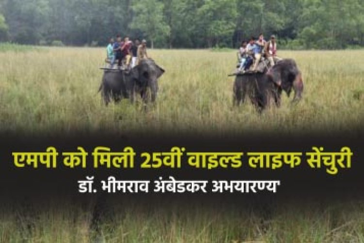 मुख्यमंत्री डॉ. यादव की पहल पर मध्यप्रदेश को मिला 25वां अभयारण्य