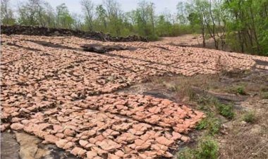तेन्दूपत्ता संग्राहक हितग्राहियों की सुरक्षा संघ की सर्वाेच्च प्राथमिकता