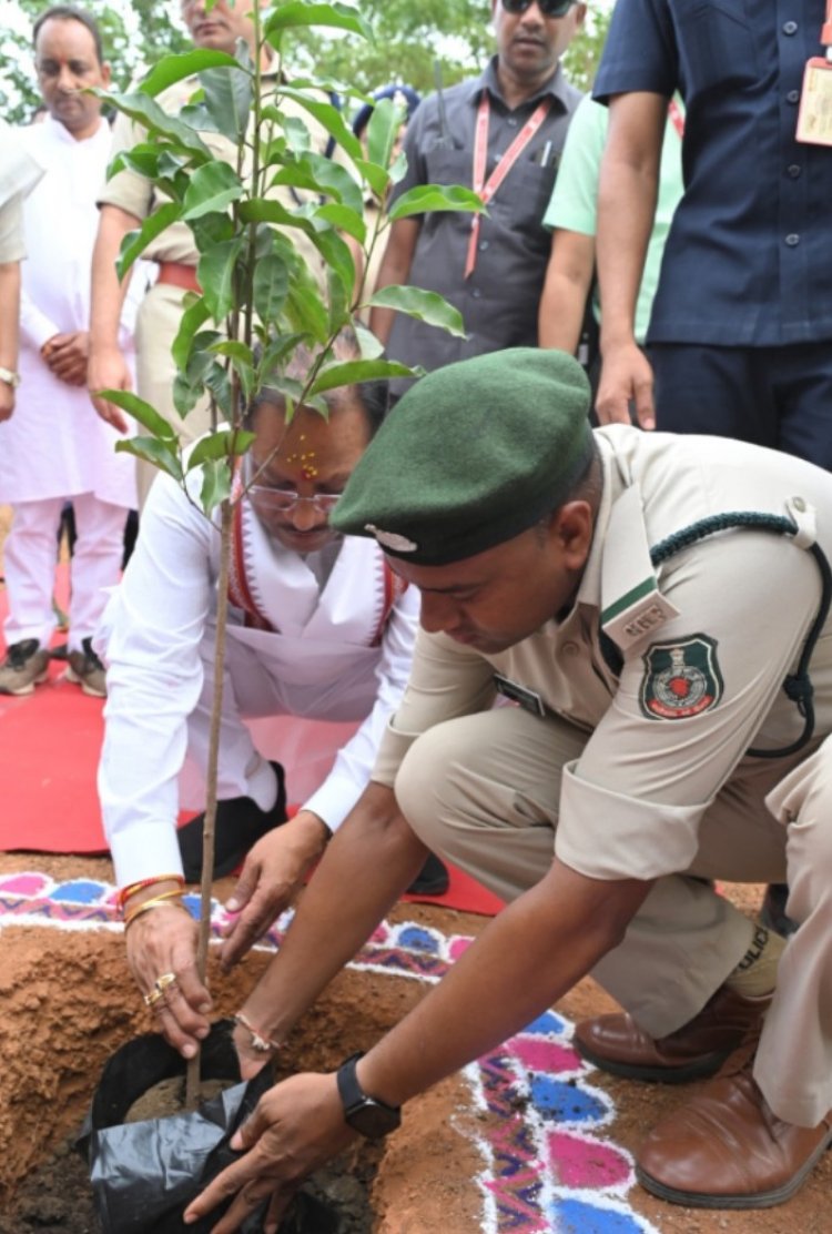 मुख्यमंत्री ने बालोद में लगाया आम का पौधा