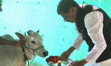 प्रदेश स्तरीय गौ-शाला सम्मेलन 20 जून को