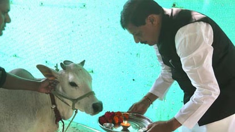 प्रदेश स्तरीय गौ-शाला सम्मेलन 20 जून को