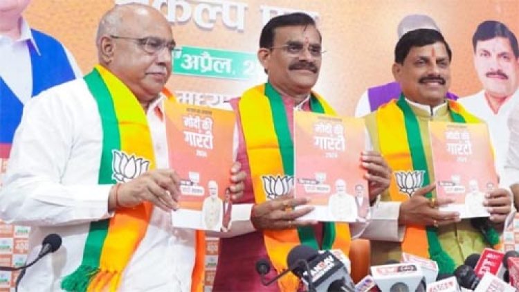 हेमंत खंडेलवाल सर्वसम्मति से मप्र भाजपा के अध्यक्ष तय