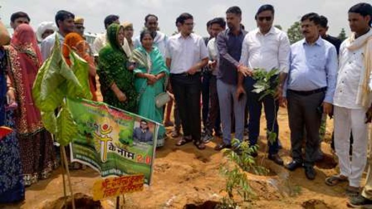 दौसा जिले ने पौधारोपण में हासिल की ऐतिहासिक उपलब्धि, एक ही दिन में लगाए 1 लाख 85 हजार पौधे