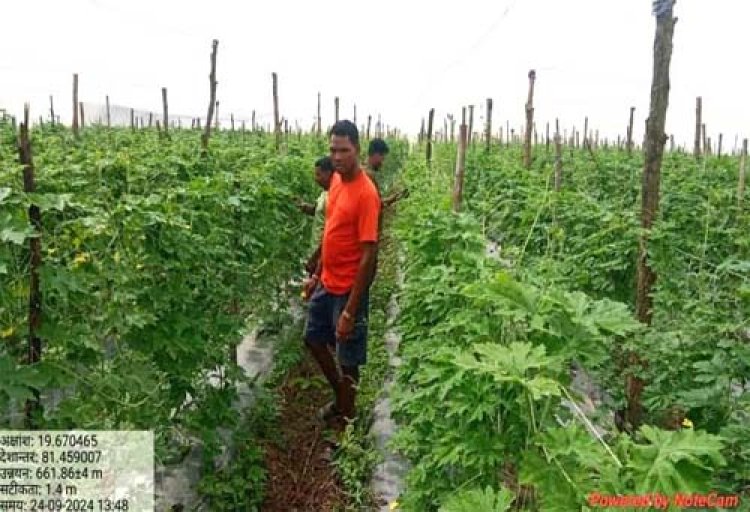 उद्यानिकी फसल से संतेर पोटाई हुए आर्थिक रूप से सशक्त