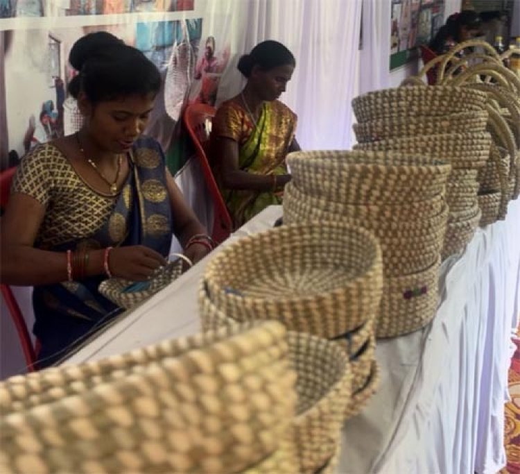 ग्रामीण अर्थव्यवस्था में सकारात्मक बदलाव ला रहीं है समूह की दीदियां