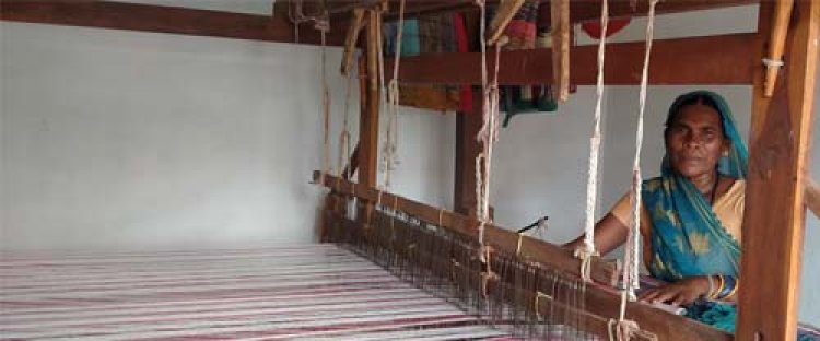 हथबंद की ज्योति बनीं आत्मनिर्भरता की मिसाल, बिहान योजना से बदली ज़िंदगी