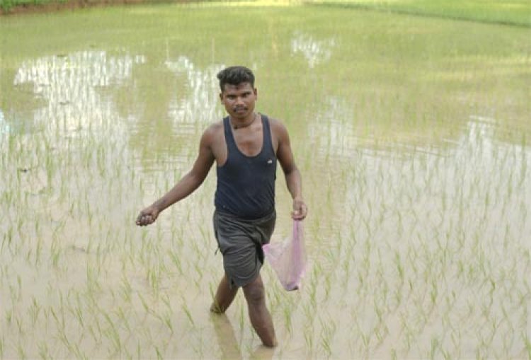 समय पर मिली खाद-बीज से युवा किसान बृजपाल की खेती हुई आसान