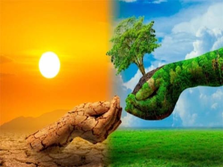 पर्यावरण से समन्वय पर विशेष संगोष्ठी-सह प्रशिक्षण कार्यशाला 11 अगस्त को