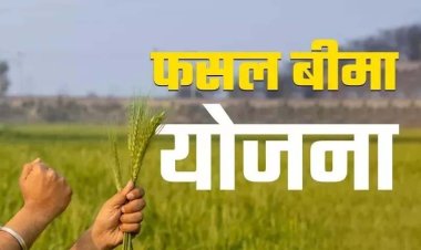 किसान 72 घंटे में दें फसल खराबे की सूचना, मिलेगा प्रधानमंत्री फसल बीमा योजना का लाभ