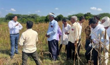 मुख्यमंत्री भजनलाल शर्मा की मंशानुसार अतिवृष्टि से प्रभावित किसानों को शीघ्र मिलेगी राहत