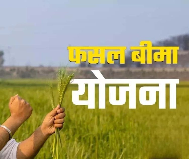 किसान 72 घंटे में दें फसल खराबे की सूचना, मिलेगा प्रधानमंत्री फसल बीमा योजना का लाभ