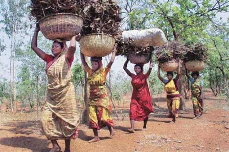 बैगा, भारिया और सहरिया जनजातियों को सभी जिलों में मिलेगा लाभ