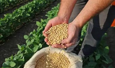 भावांतर योजना के लिए हेल्पलाइन कॉल सेंटर प्रारंभ