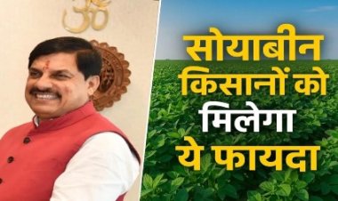 14 हजार 727 किसानों से 25 हजार 999 टन सोयाबीन की खरीदी