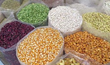 किसानों से दलहन-तिलहन की होगी समर्थन मूल्य पर खरीद