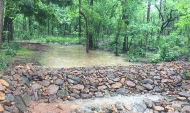 ‘मोर गांव मोर पानी‘ अभियान से सरगुजा जिला बना जल आत्मनिर्भर