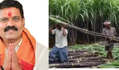 उपमुख्यमंत्री विजय शर्मा के प्रयासों से गन्ना किसानों को दीपावली पर मिला बड़ा तोहफा