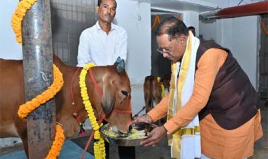 गोवर्धन पूजा के अवसर पर मुख्यमंत्री ने किया गौपूजन, प्रदेशवासियों की सुख-समृद्धि की कामना की