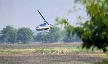 हेलीकॉप्टर और बोमा से कृष्ण मृगों और नीलगायों को पकड़ने का अभियान जारी