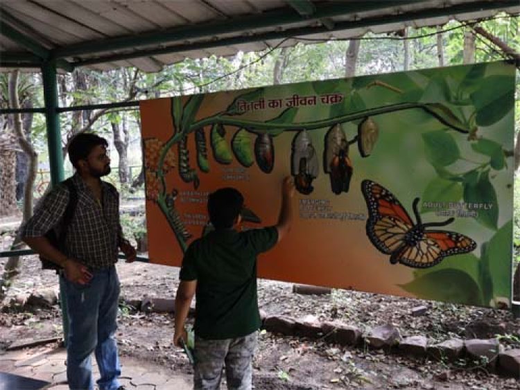 वन्यजीव सप्ताह: बच्चों ने किए विभिन्न प्रजातियों की रंग-बिरंगी तितलियों के दर्शन