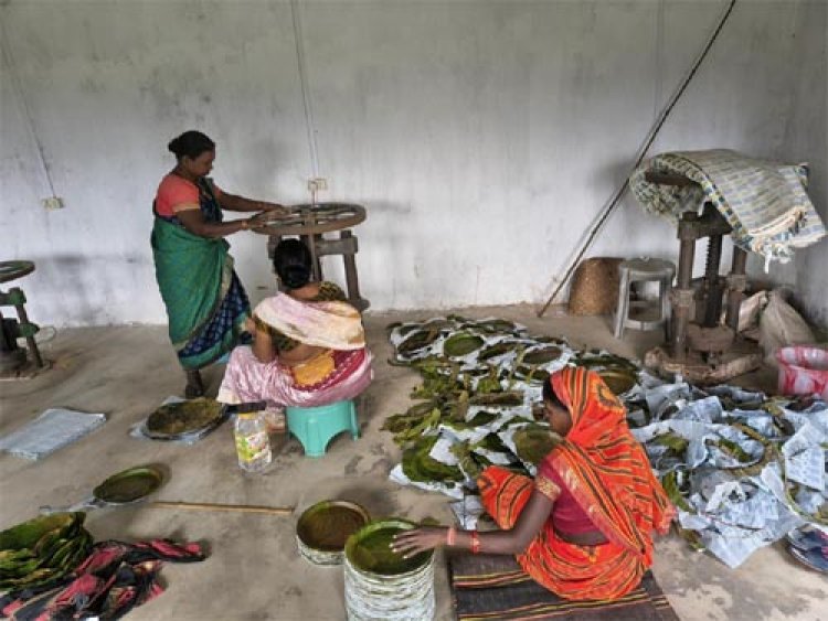  विशेष पिछड़ी जनजाति पहाड़ी कोरवा महिलाओं को पी.एम. जनमन योजना का मिल रहा लाभ