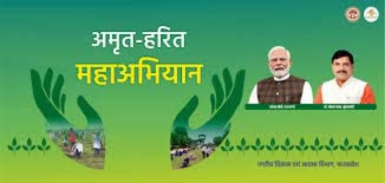 अमृत हरित महाअभियान में नगरीय क्षेत्रों में 35.59 लाख पौधे लगाये गये