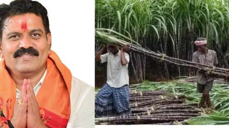 उपमुख्यमंत्री विजय शर्मा के प्रयासों से गन्ना किसानों को दीपावली पर मिला बड़ा तोहफा