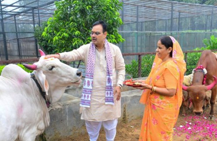 मुख्यमंत्री भजनलाल शर्मा ने मुख्यमंत्री निवास पर किया गौ-पूजन
