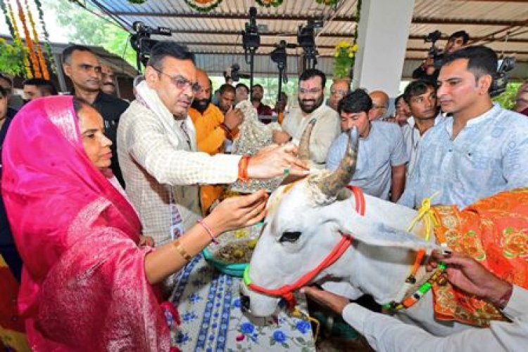 राज्य सरकार गौ संरक्षण एवं संवर्धन के लिए प्रतिबद्ध, गौ सेवा के लिए समर्पित होकर करें काम: मुख्यमंत्री भजनलाल शर्मा