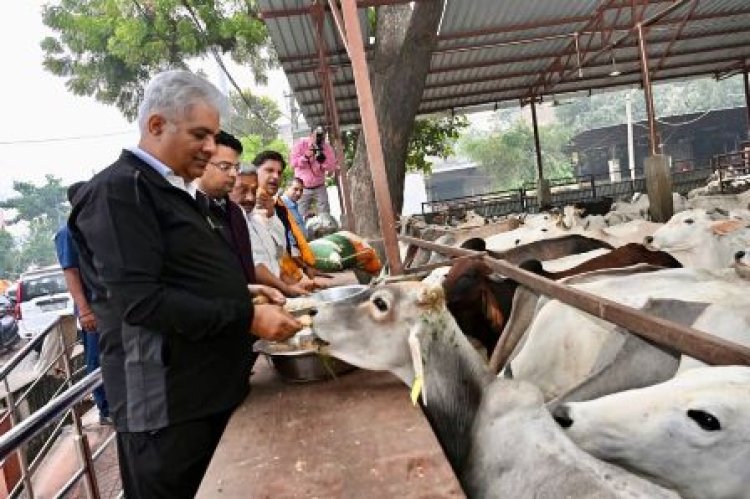 केंद्रीय वन मंत्री भूपेन्द्र यादव एवं वन राज्यमंत्री संजय शर्मा ने अलवर जिले के कॉमर्स कॉलेज में सिंथैटिक बास्केटबॉल कोर्ट का किया शिलान्यास