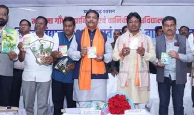 बस्तर के सोनारपाल में विकास की नई इबारत