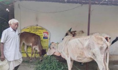 महात्मा गांधी नरेगा ने बदली बुलबुल की किस्मत