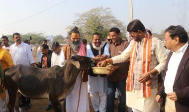 प्रदेश में अधिक से अधिक बनें स्वावलंबी गो-शालाएँ : राज्यमंत्री पटेल