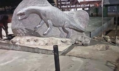 मनेन्द्रगढ सिथत गोंडवाना मरीन फॉसिल पार्क को राष्ट्रीय स्तर पर मिली नई पहचान