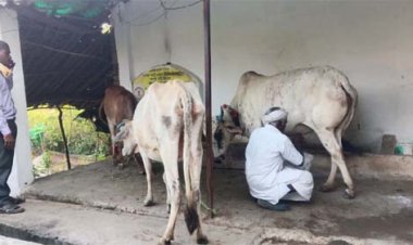 महात्मा गांधी नरेगा ने बदली बुलबुलराम की किस्मत