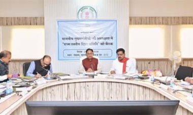 मुख्यमंत्री विष्णु देव साय की अध्यक्षता में राज्य स्तरीय दिशा समिति की बैठक संपन्न