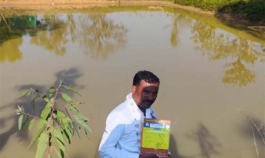 बड़ेबंजोड़ा में मनरेगा डबरी बनी आजीविका का आधार, हितग्राहियों को मिला झींगा बीज