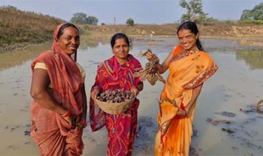 महिला स्व-सहायता समूह की मेहनत रंग लाई, मछली पालन और सिंघाड़ा खेती से बढ़ी आमदनी