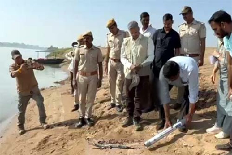 देश में पहली बार घड़ियाल संरक्षण की अनूठी पहल, वन राज्यमंत्री संजय शर्मा ने घड़ियाल के 10 बच्चों को चम्बल नदी में छोड़ा