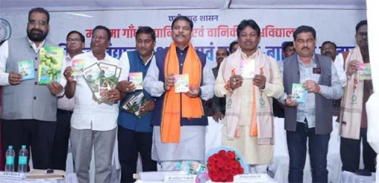 बस्तर के सोनारपाल में विकास की नई इबारत