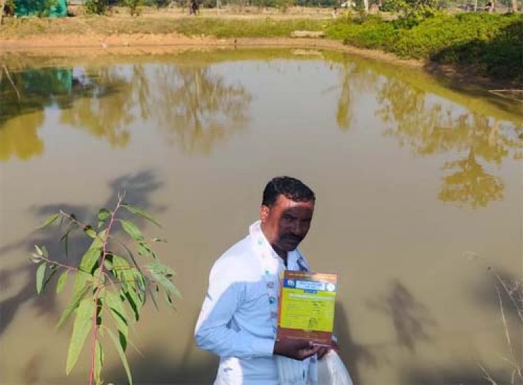 बड़ेबंजोड़ा में मनरेगा डबरी बनी आजीविका का आधार, हितग्राहियों को मिला झींगा बीज