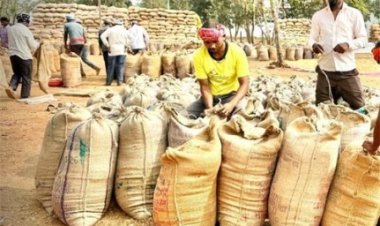 धमतरी में रिकॉर्ड रफ्तार से धान खरीदी