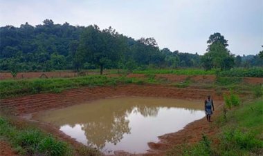 आत्मनिर्भरता, खुशहाली और ग्रामीण प्रेरणा की अद्भुत मिसाल