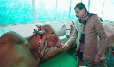 पशुपालकों की समृद्धि की ओर बढ़ रहा मध्यप्रदेश: मुख्यमंत्री डॉ. यादव