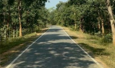 पीएम जनमन योजना से बदली ग्राम बांसकुड़ा कमार बस्ती की तस्वीर