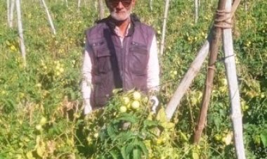 तकनीक सहयोग और मेहनत से बदली खेती की तस्वीर