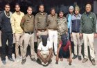 मध्यप्रदेश पुलिस की सतर्कता से अपहरण की साजिशें नाकाम