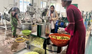 केन्द्रीय प्रसंस्करण इकाई जामगांव एम : ग्रामीण अर्थव्यवस्था और रोजगार को नया बल